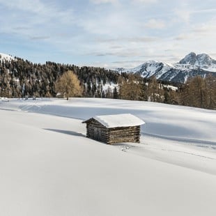 Vitalpina Hotels für den Winter
