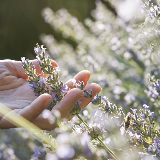 WELLNESS MIT NATURPRODUKTEN