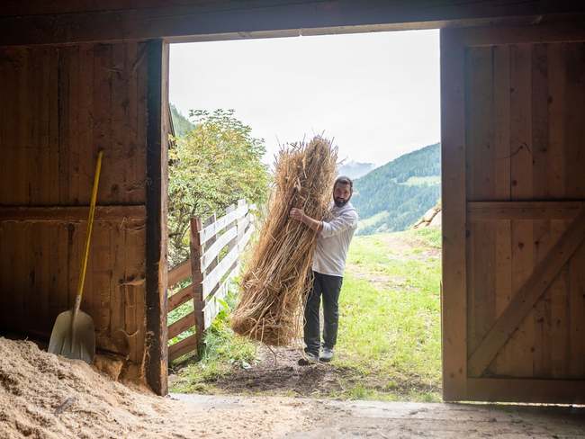 Dalla natura alla tavola