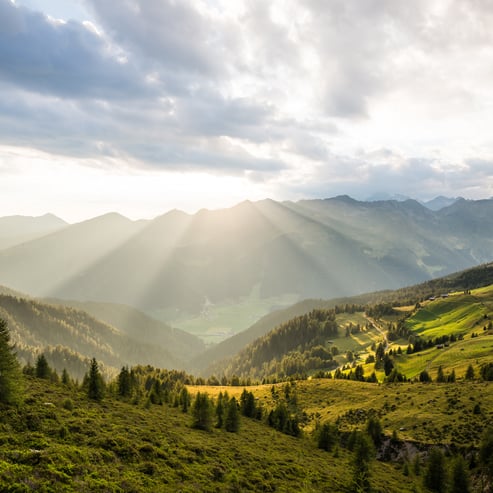 Voglia di camminare