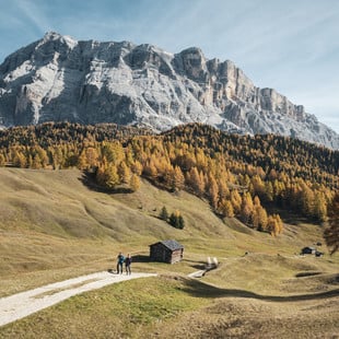 Hotel nelle Alpi