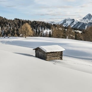 Vitalpina Hotels per l'inverno