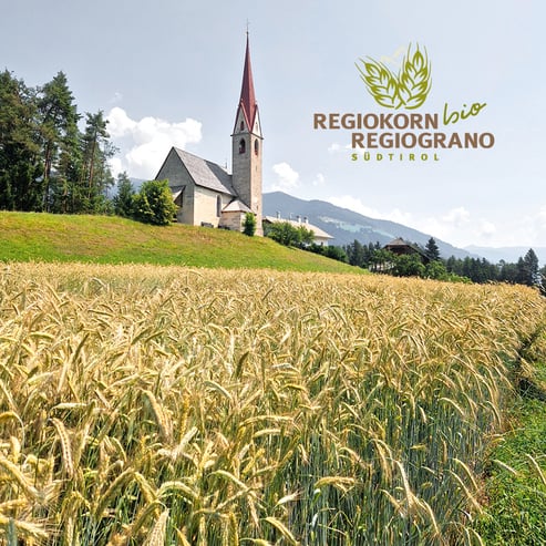Korn aus der Region