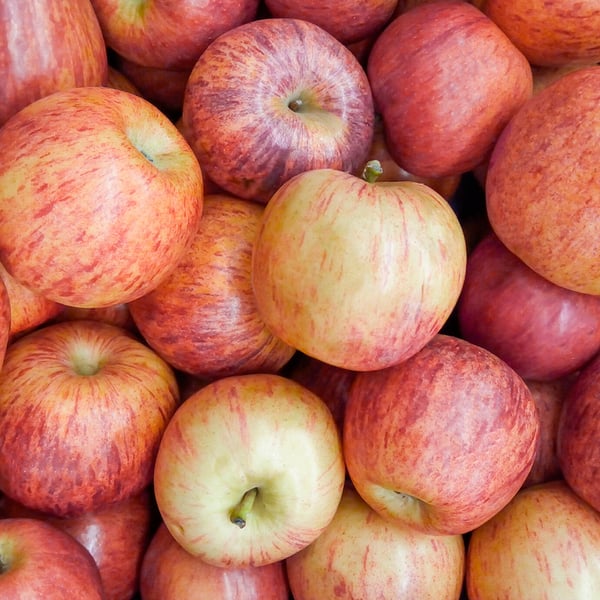 Bester Südtiroler Bio-Apfel