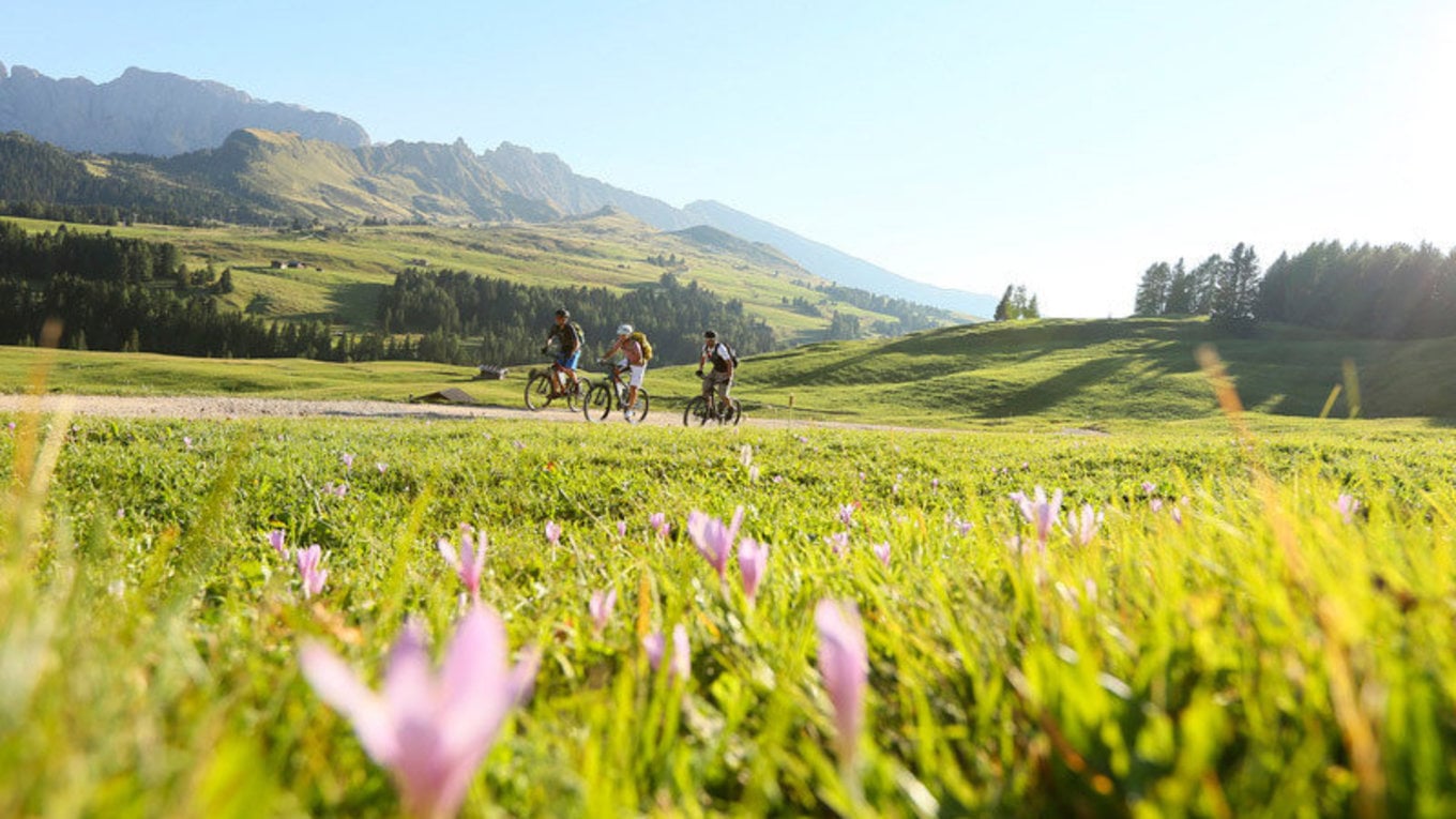 Bike, escursioni e molto di più