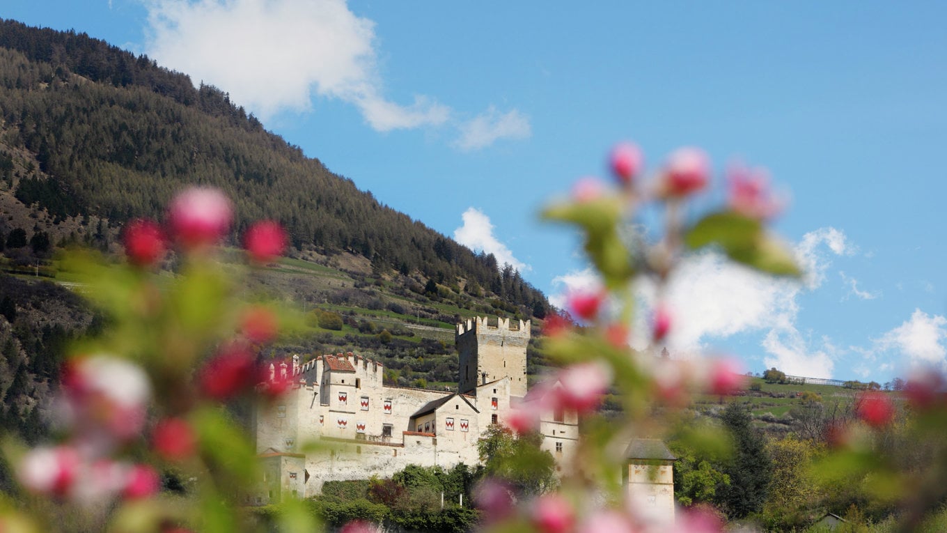 Aria di primavera al Das Gerstl -20%