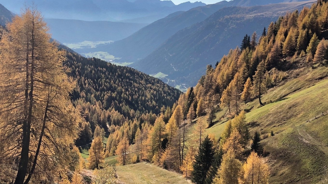 Autunno d'oro