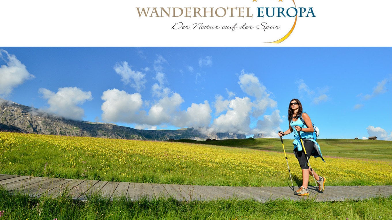 The marvelous sea of flowers of Alpe di Siusi