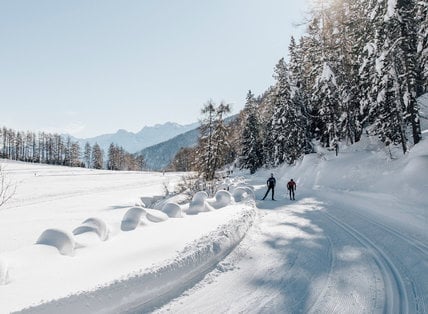 Langlaufwochen im Januar
