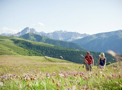 Naturellness Wanderwoche