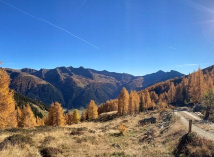 Herbstgenuss 7=6 für Frühbucher