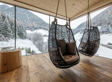 NATURE WINTER Early Bird