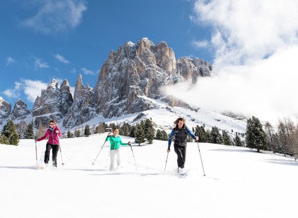 Alpin Bergwinter