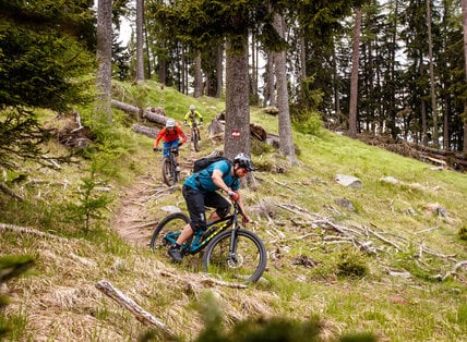 Der Ruf des Singletrails im Vinschgau